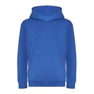 Awdis Childrens/Kids Hoodie / Royal Blue